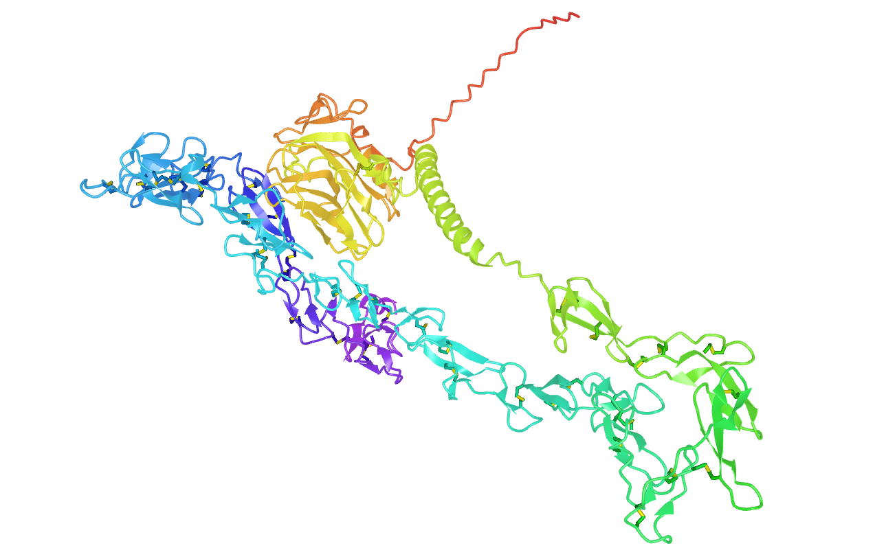 Figure 1. Protein Structure of NELL2.