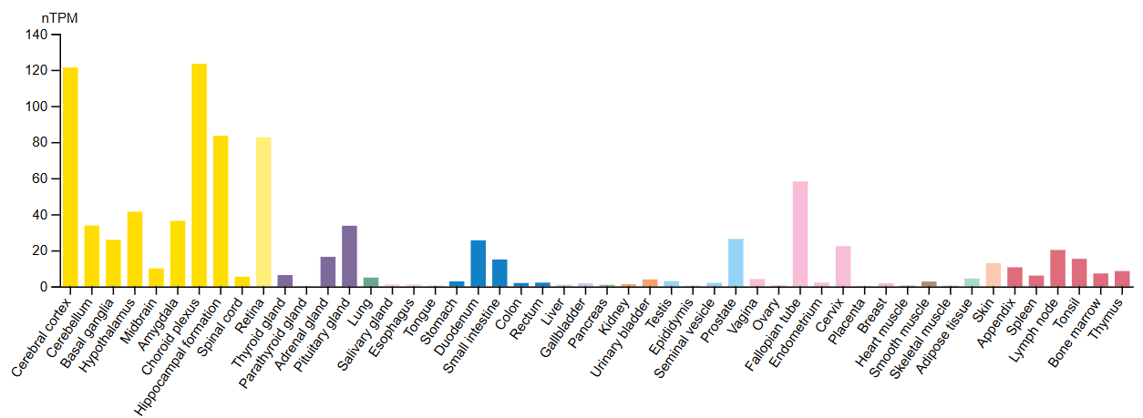 Figure 2. Tissue RNA expression data for NELL2.