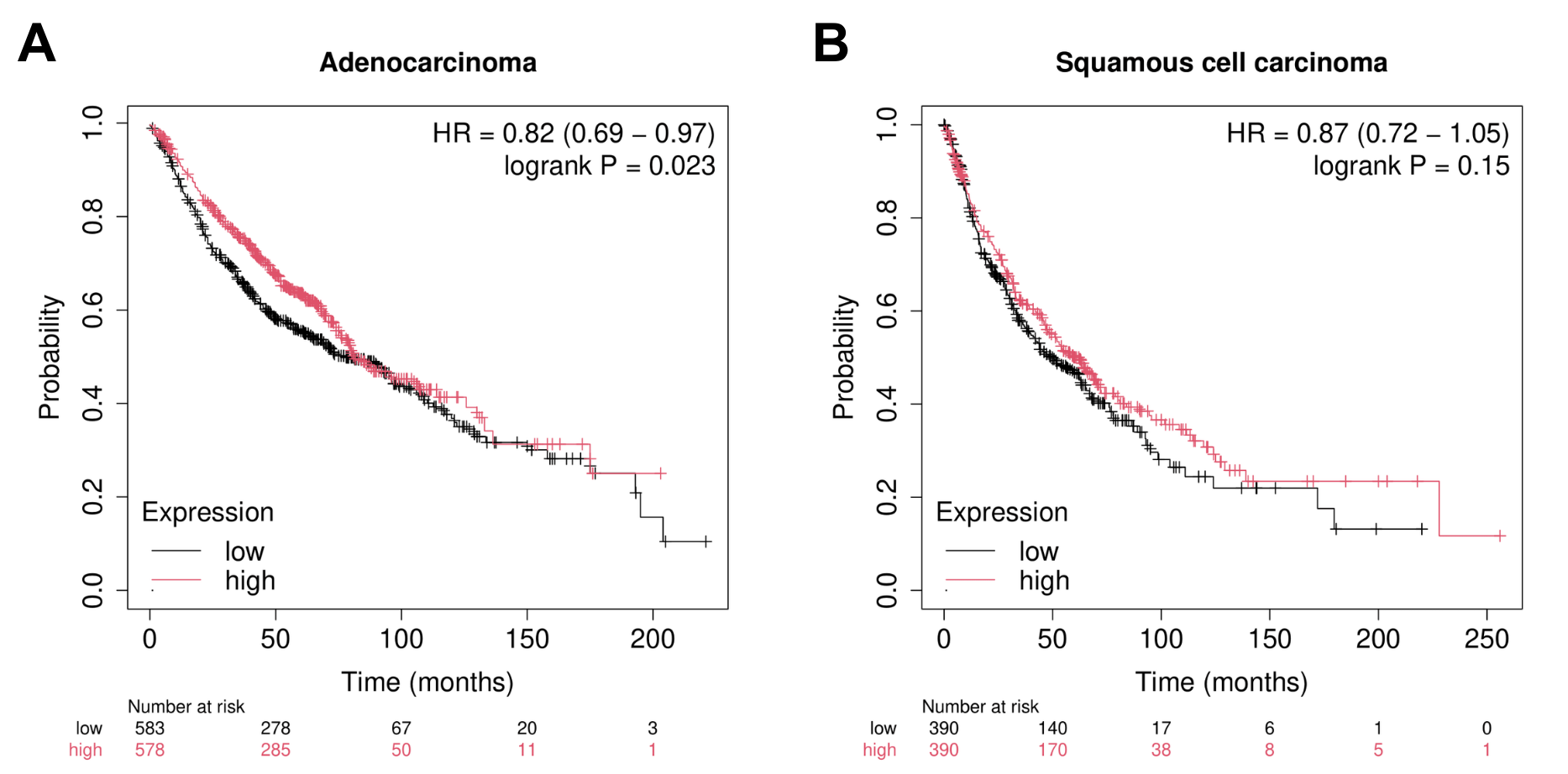 Figure 6. Kaplan-Meier Survival curves for lung adenocarcinoma (ADC) and lung squamous cell carcinoma (SQC) in the context of NELL2 expression. A. High expression of NELL2 is associated with significantly greater probability of survival (y-axis) over time (x-axis) in ADC (HR = 0.69 - 0.97, p = 0.023; up to 31% risk reduction). B. Expression of NELL2 does not present a significant trend in patient survival in SQC (HR = 0.72 - 1.05, p = 0.15).