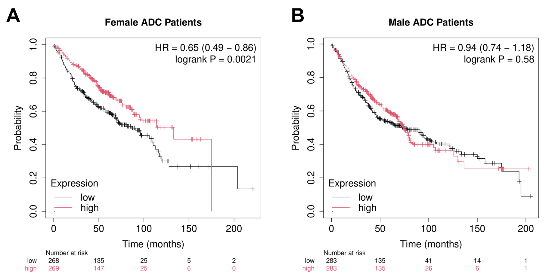 Figure 9. Kaplan-Meier Survival curves for lung ADC among male and female patients in the context of NELL2 expression. A. High expression of NELL2 is associated with a greater probability of survival over time in ADC (HR = 0.49 - 0.86, p = 0.0021; up to 51% risk reduction). B. Expression of NELL2 does not seem to influence patient survival in males (HR = 0.74 - 1.18, p = 0.58).